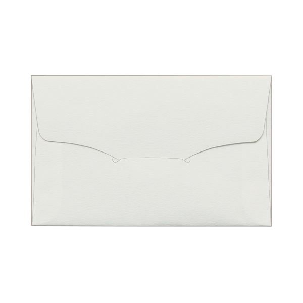 (まとめ) TANOSEE 名刺型封筒112×70mm タント 116.3g 1セット(100枚:10枚×10パック) 【×5セット】 ビジネスの必需品 便利な...