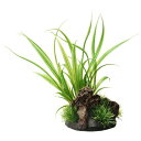 (まとめ)癒し水景 アクアキャンバス シペルス【×4セット】 プロの手を借りずに、美しい水草レイアウトが簡単に完成 自然の癒しを感じるアクアキャンバス シペルス...