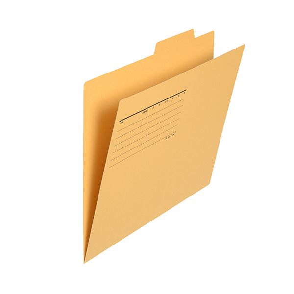 （まとめ）プラス 個別フォルダー エコノミータイプA4 イエロー FL-081IF 1パック(10冊)【×3セット】 黄 90%再生紙を使用したA4サイズの個別フォルダー 鮮やかなイエローで目を引くエコノミータイプ 10冊入りでお得な3セットもあります 持ち運びに便利で環境にも貢献 整理