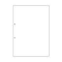 (まとめ)TANOSEE マルチプリンタ帳票(スーパーエコノミー) A4 白紙 2穴 1セット(2500枚:100枚×25冊) 【×3セット】 ヒサゴの高品質を...
