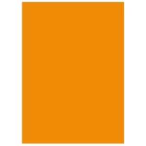 北越製紙 カラーペーパー/リサイクルコピー用紙 【A5 500枚×10冊】 日本製 国産 オレンジ 鮮やかな色彩が躍動する、多目的な用紙 広告や申請、印刷に最適 高品質な日本製 国産 オレンジの魅力が溢れる【A5 500枚×10冊】