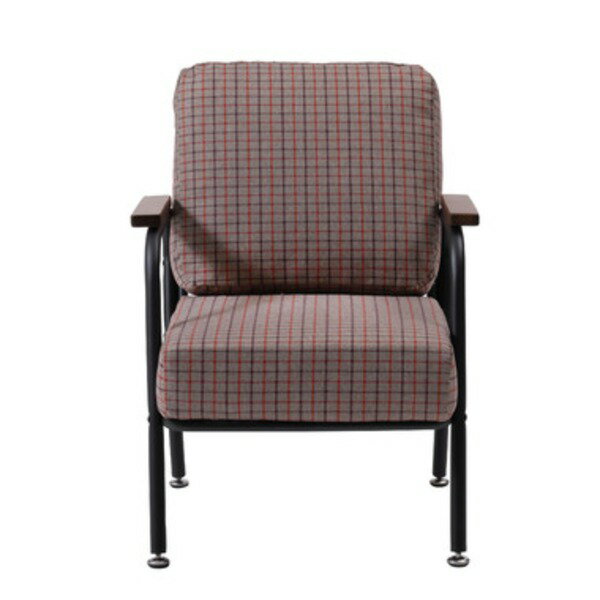 ソファ 約幅55cm 1人掛け グレー 肘付き 金属 スチール ソファー リビング インテリア家具 生活家具 組立品 快適な座り心地を提供する、シックなグレーの1人掛けソファ 幅55cmのコンパクトなサイズで、組み立ても簡単 リラックスタイムをより豪華に彩る、上質なインテリア