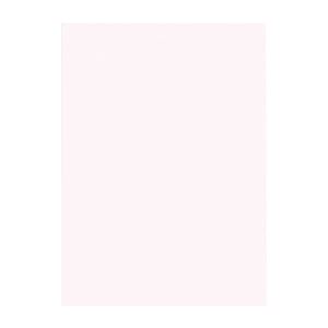 （まとめ） 文運堂 ニューカラーR 四ツ切 横392×縦542mm 4NCR-135 ピンク 100枚入 【×2セット】 鮮やかなカラーパレットの四ツ切画用紙 ピンクの魅力溢れる392×542mmサイズ ニューカラーRの61色が創造力を刺激 100枚入りで無限の可能性をお届け 【×2セット】