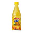 【まとめ買い】アサヒ バヤリース オレンジ ペットボトル 430ml×24本(1ケース)
