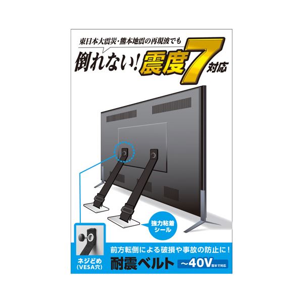 楽天株式会社夢の小屋TV用耐震ベルト／～40V用／ネジどめタイプ（VESA穴）／2本入 TS-005N 地震に強い! 震度7にも耐えるテレビ裏面用耐震ベルト／最大40V対応／VESA穴対応／ネジ固定タイプ／2本セット／地震対策万全の製TVベルト TS-005N