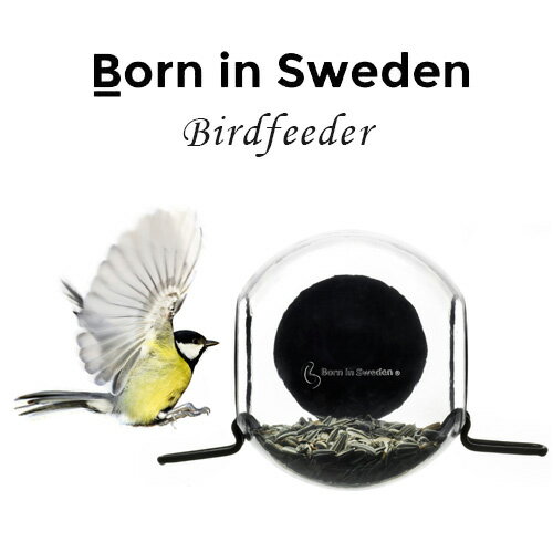 kG Born in Sweden o[htB[_[ BIRDFEEDER ̑   lC