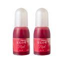 PADICO パジコ　UVレジン用着色剤　宝石の雫 10ml　2本セット　Red レッド　403035