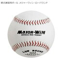 硬式練習用ボール メジャーウィン・ローバウンド BB78-41L