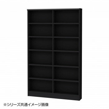 TAIYO OWR オーダーワイドラック 1895スリム ブラック(BK)