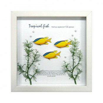 アートフレーム Blueline demoiselle ZAF-50794