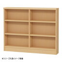 TAIYO OWR オーダーワイドラック 9095スリム ペアナチュラル(PN)