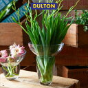 ダルトン 口が広がって入れやすい グラス ベース アーク 口径 178mm フラワーアレンジメント 花器GLASS VASE ARC H220 dulton アメリカン雑貨