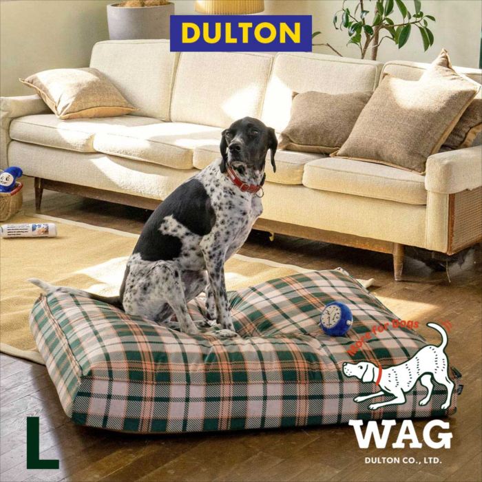 ȥ  ٥å 졡侩ν 27-41kg緿CHECK DOG BED L dulton ꥫ󻨲 ...