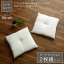 ヌード 45角シート ヌードクッション 国産 日本製 洗える シート 椅子用 アイボリー 約45×45cm 2枚組