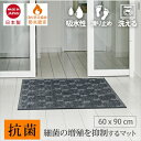 玄関マット 屋外 屋内 エントランスマット 抗菌マット 60 x 90 cm 抗菌剤配合 滑り止め おしゃれ