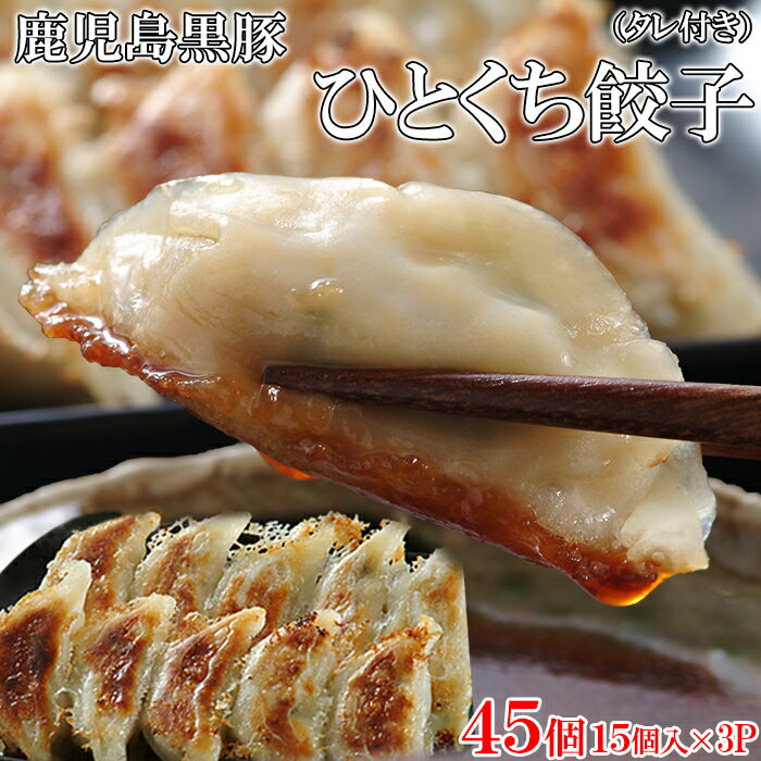 パリパリでジューシー!!箸が止まらない!!鹿児島黒豚ひとくち餃子45個