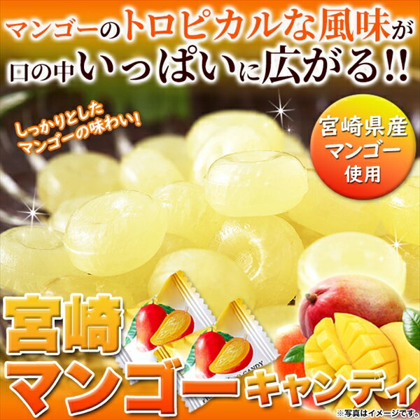 宮崎県産マンゴーで作ったマンゴーピューレ使用!! 大容量 宮崎マンゴーキャンディ250g