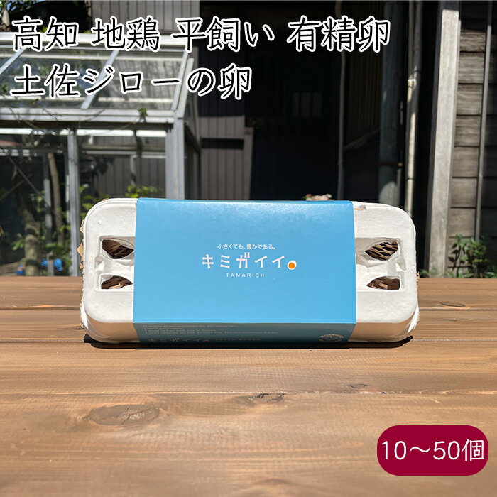 高知県土佐山産 土佐ジローの卵 キミガイイ《産地直送》【送料無料 北海道沖縄離島除く】( 有精卵 高級卵 ) 高知 地鶏 平飼い 平飼 平 放飼 放飼い 卵 たまご タマゴ 生卵 生 有精