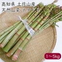 高知県土佐山産 天然山菜イタドリ《産地直送 2025年度 販売中》【 送料無料 北海道沖縄離島除く】( 季節限定 天然 山菜 イタドリ ) 高知 高知県 虎杖 ...