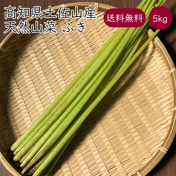 高知県産 天然山菜フキ 5kg《産地直送 2024年度 販売中》【送料無料】 季節限定 天然 山菜 フキ 高知 高知県 土佐山 蕗 ふき 水蕗 水ぶき 水ふき 旬 野菜 産直