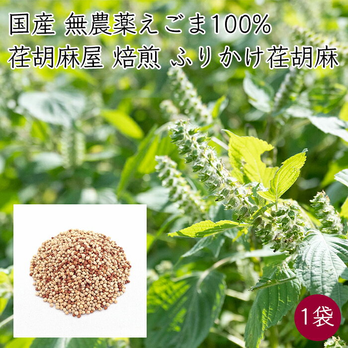送料無料 1000円ポッキリ 荏胡麻屋 ふりふり荏胡麻 焙煎 えごま種 梅塩味 1袋 40g/袋《メーカー直送》【ネコポス配送】( 無農薬 焙煎荏胡麻 ) モリシゲ物産 国産 荏胡麻 えごま エゴマ ふりかけ フリカケ ポイント消化