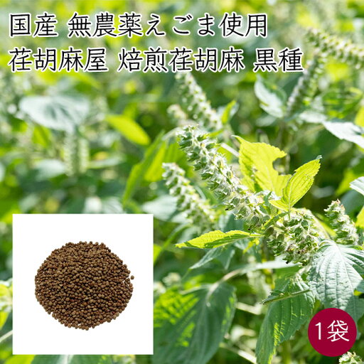 送料無料 1000円ポッキリ 荏胡麻屋 焙煎荏胡麻 荏胡麻の実 黒種 1袋 60g/袋《メーカー直送》【ネコポス配送】( 無農薬 ) モリシゲ物産 国産 荏胡麻 えごま エゴマ 実 焙煎 ポイント消化 送料無料 1000円ポッキリ 荏胡麻屋 焙煎荏胡麻 荏胡麻の実 黒種 1袋 60g/袋《メーカー直送》【ネコポス配送】( 無農薬 ) モリシゲ物産 国産 荏胡麻 えごま エゴマ 実 焙煎 ポイント消化