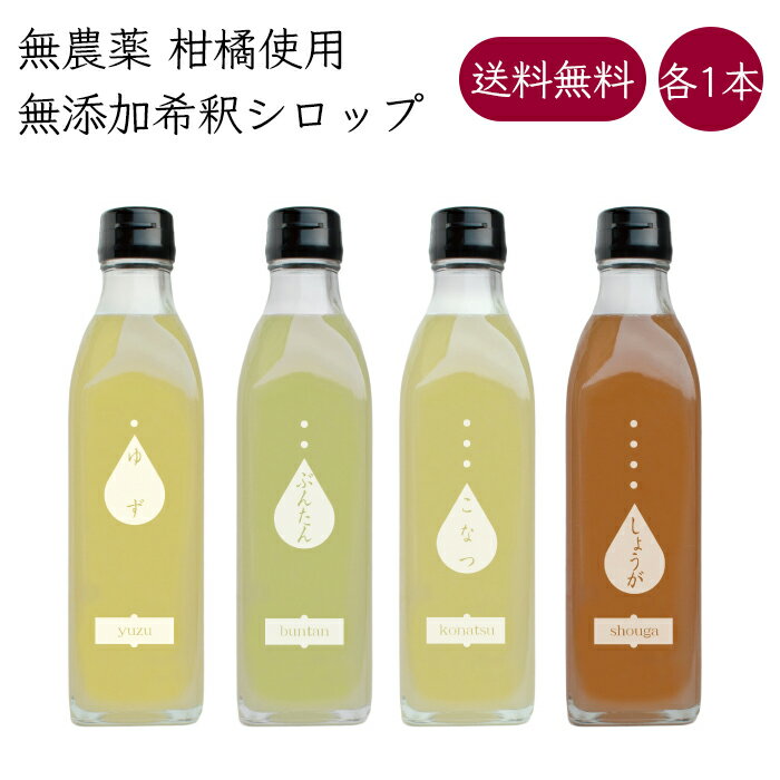 岡林農園 柑橘シロップ 4mix 4〜6倍希釈 ドリンク 各1本 300ml/本《メーカー直送》（無農薬 柑橘 使用 無添加 ） 高知 高知県 岡林農園 柚子 文旦 小夏 生姜 シロップ syrup 希釈