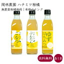 岡林農園 ハチミツ柑橘 3MIX 4〜6倍希釈 ドリンク 各1本 300ml／本《メーカー直送》【送料無料 北海道沖縄離島除く】（無農薬 柑橘 使用 無添加 ） 高知 高知県 文旦 小夏 柚子 蜂蜜 はちみつ ハチミツ 希釈