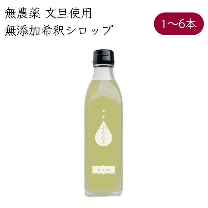 岡林農園 ぶんたんシロップ 4倍希釈 ドリンク 300ml/本《メーカー直送》（無農薬 文旦 使用 無添加 ） 高知 高知県 ぶんたん ブンタン シロップ syrup 希釈