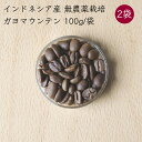 ガヨマウンテン 専門店 KopiKan 焙煎 無農薬 コーヒー豆 ドリップ用 100g／袋《メーカー直送》【送料無料 ネコポス便】（ 無農薬栽培 無添加 アラビカ種 中深煎り 豆 粉 ）インドネシア産 アチェ産 岡林農園 珈琲豆