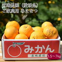 天晴農園 あまなつ ご家庭用《産地直送 2024年度 予約受付中 2/28から順次発送》【送料無料 北海道沖縄離島除く】 国産 愛媛県産 甘夏 甘夏みかん