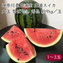 マルエ農園 三浦スイカ 大玉 祭ばやし 秀品 約9kg/玉《産地直送 2025年度 7月中旬発送予定》【送料無料 沖縄離島除く】(キズ/カスレ 多少あり)神奈川県 神奈川 三浦 三浦すいか 大玉スイカ 大玉すいか 大玉 おおだま オオダマ すいか 西瓜 果物 くだもの