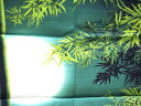 【3巾　118cm巾　大風呂敷】日本の夏　月と竹