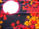 【3巾　大風呂敷】日本の秋　月と紅葉