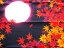 【小風呂敷】日本の秋・月と紅葉
