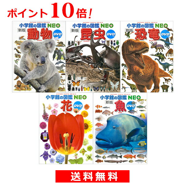 【5冊セットでポイントお得！】小学館の図鑑NEOわくわく5冊セット　【宅配便（追跡あり）送料無料】