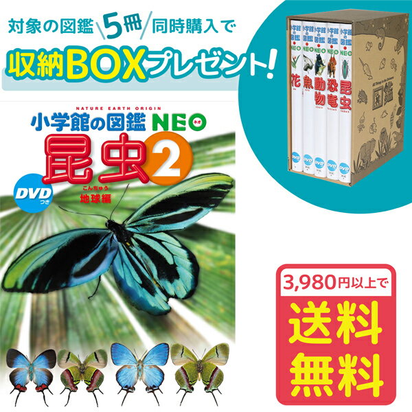 【収納BOX付・送料無料・条件有】小学館の図鑑NEO　昆虫2　DVDつき　地球編