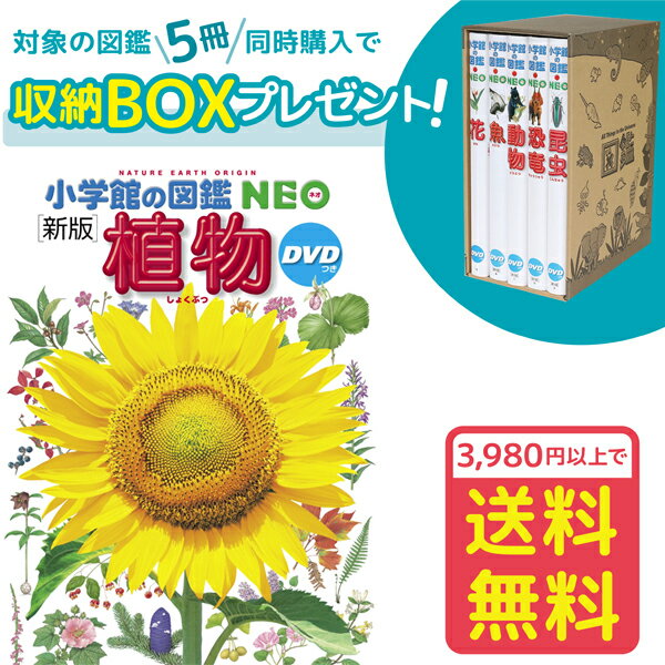 ★当店オリジナル★ 当店でしか手に入らない小学館の図鑑NEO専用収納BOXです！ 図鑑が5冊入ります。お片付けにピッタリ！ 小学館の図鑑NEOシリーズを5冊同時購入のお客様に収納BOXを1個プレゼントいたします。 小学館の図鑑NEOシリーズを5冊以上、カートに入れご購入ください。図鑑5冊を収納BOXに入れてお届けいたします。 ※小学館の図鑑NEOシリーズを5冊以上購入のお客様が対象です ※収納BOXのバナーが付いている図鑑が対象です ※5冊ごとに収納BOX1個をお付けします ※図鑑の組み合わせによっては、きつい場合もございます 【3,980円以上の購入で送料無料！】 新しい帰化植物を追加して、パワーアップ！ 新版「植物」には、2002年のNEO植物発売時からこの15年の間に新しく日本に定着した外来種（帰化植物）を新たに約100種ほど盛り込みました。 それら外来種の植物画を、日本で初めて描き下ろしています。 本当にいま身近な植物が美しいイラストで紹介されているのでとてもわかりやすいです。 構成は、現状のNEO植物と同様に、生えている場所と季節ごとに掲載。また、草花遊び、世界の植物や学校の授業で習う植物までを網羅した図鑑です。 また、世界の植物や、草花あそび、毒の植物、特定外来生物などの特集ページもパワーアップ。大満足の内容です。 付録の、ドラえもんとのび太が、身近な場所から高山や海辺、世界まで、さまざまな場所へ植物観察の旅に出かける「小学館の図鑑NEO ドラえもん・のび太のびっくり植物DVD」はとても楽しく勉強にもなり、必見です！ 出版社：小学館 監・文／門田裕一 執筆／畑中喜秋 執筆／和田浩志 執筆／岡田比呂実 画／松岡真澄 画／斎藤光一 発売日：2018/6/22 判型/分：A4変/75分 ISBN：9784092173125 オススメ：3歳〜 ジャンル：ベストセラー、人気絵本、えほん、寝かしつけ、読み聞かせ、おすすめ、 話題、年齢別、テーマ別、育脳、植物、図鑑、DVD付き、子ども向け図鑑、子ども図鑑、自由研究