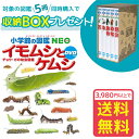 【おまけ付】【収納BOX付 送料無料 条件有】小学館の図鑑 NEO イモムシとケムシ DVDつき チョウ ガの幼虫図鑑