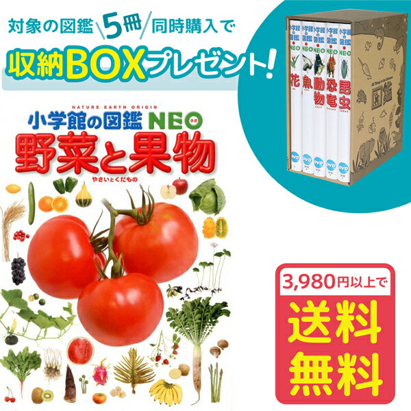 【収納BOX付・送料無料・条件有】小学館の図鑑NEO　野菜と果物