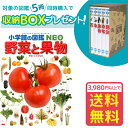 楽天ゆめたまご【収納BOX付・送料無料・条件有】小学館の図鑑NEO　野菜と果物