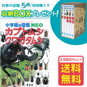 小学館 小学館の図鑑 NEO 【収納BOX付・送料無料・条件有】小学館の図鑑NEO　カブトムシ・クワガタムシ