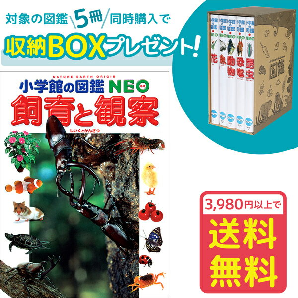 【収納BOX付・送料無料・条件有】小学館の図鑑NEO　飼育と観察