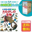 【収納BOX付・送料無料・条件有】小学館の図鑑NEO 大むかしの生物
