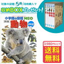 小学館 小学館の図鑑 NEO 【収納BOX付・送料無料・条件有】小学館の図鑑NEO［新版］動物　DVDつき