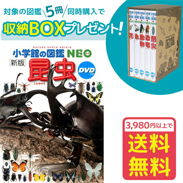 【収納BOX付・送料無料・条件有】小