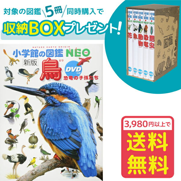 【収納BOX付・送料無料・条件有】小学館の図鑑NEO［新版］鳥　DVDつき