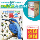 小学館 小学館の図鑑 NEO 【収納BOX付・送料無料・条件有】小学館の図鑑NEO［新版］鳥　DVDつき