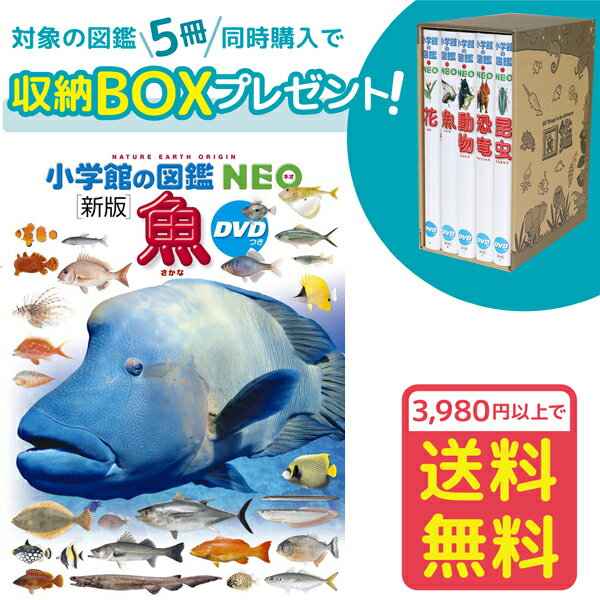 【収納BOX付・送料無料・条件有】小学館の図鑑NEO［新版］魚 DVDつき