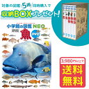 収納BOX付・ ・条件有 小学館の図鑑NEO［新版］魚 DVDつき